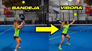 From BANDEJA to VIBORA TRANSFORMATION in 25 min with Fran Alameda
