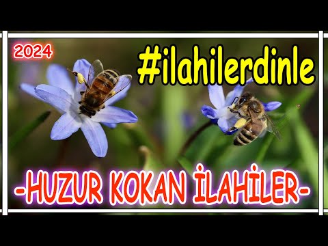 En Güzel İlahiler🌷Karışık Muhteşem İlahiler🌷En Meşhur İlahiler 2024 - İlahi Dinle