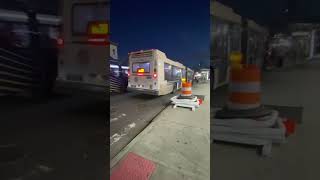 Bx39 and bx21 bus action.