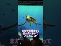 【タートルトーク】インスタで「好きバレ」しちゃいました【学生の恋愛】 #Shorts