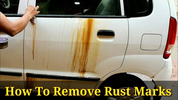 How To Quickly Remove Tree Sap From Car - Avoiding Costly Automotive  Repairs 