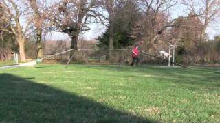 3-23-10 Boing! DW at Spring Cove farm.m4v