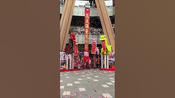 Thumbnail of 2025  Lion Dance Extravaganza