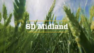 2026 CPT Winter Wheat: SDSU Varieties