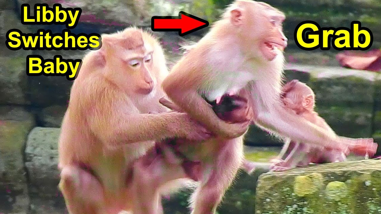 Breaking News Libby Switches Baby Rainbow & Baby Brady From Mom Rose, They Grab Babies Each Other