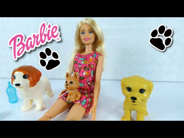 Barbie e Suas Irmãs - Resgate de Cachorrinhos: Diplomando o