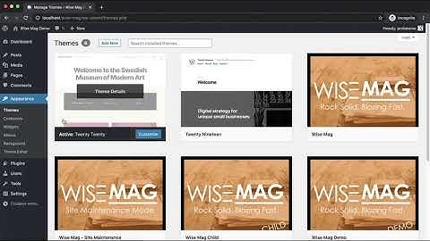 One Click Demo Import WordPress | Wise Mag