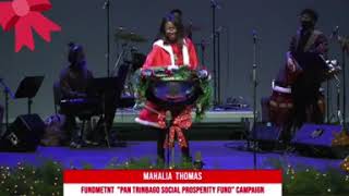 Mahalia Thomas Steelpan Cover of Piece ah Pork by Scrunter for Pantrinbago Christmas  Telethon 2020