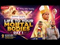 LIVE Healing Revival Convention THANJAVUR BR SAJITH JOSEPH 19 05 2026 
