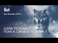 Сила Тотема. Поиск своего тотема