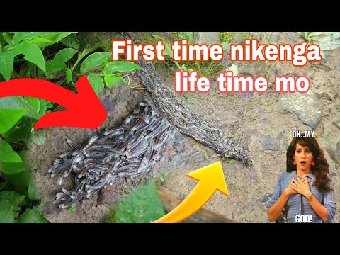 Aiaoo maidakgipa jo.ong iara🐛|| ian skanggipa nikchenganide