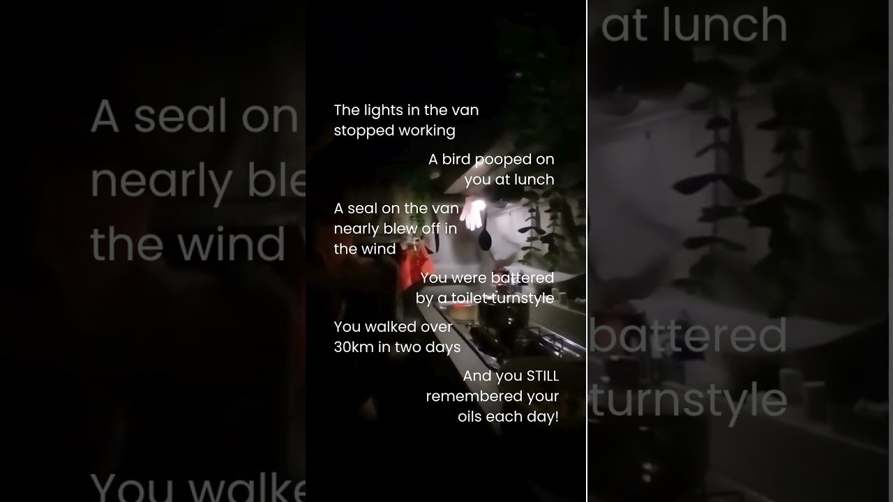 Everyday Oils, Everyday Wellness | Our Simple Daily Rituals for Calm, Focus & Energy