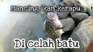 Gak Perlu Lempar Jauh Cukup Mancing Di Celah Batu Hasil Nya Ikan Kerapu