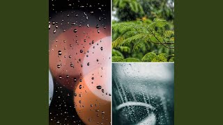 Vivacious Calming Favorites
