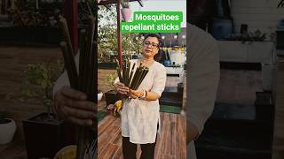 garden से मच्छर कैसे भगाऐ | Natural mosquito repellant garden sticks #shorts #gardeningideas #howto