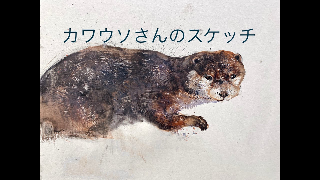 Otter sketch @ Ikebukuro Sunshine Aquarium - YouTube