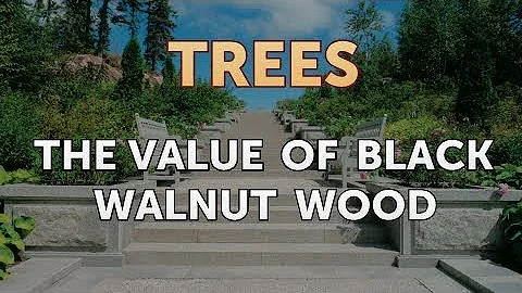 Is black walnut expensive wood?