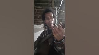 intro lagu boomerang bungaku official music