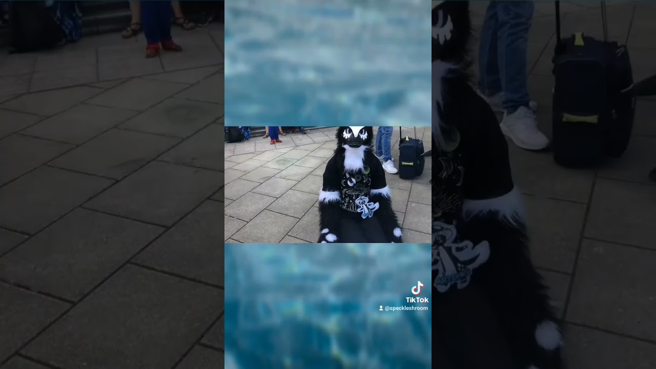 FURRY FIGHT!! 🐺‼️🔥📢🎥 