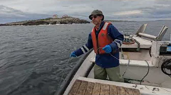 Greenspond July 21/2025 Commerical Cod Fishery