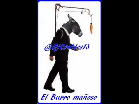 el burro manoso