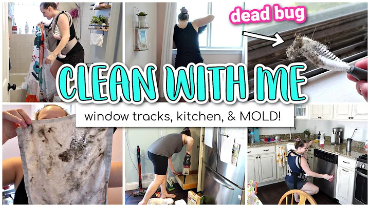 Satisfying Cleaning and Homemaking Motivation! // ...