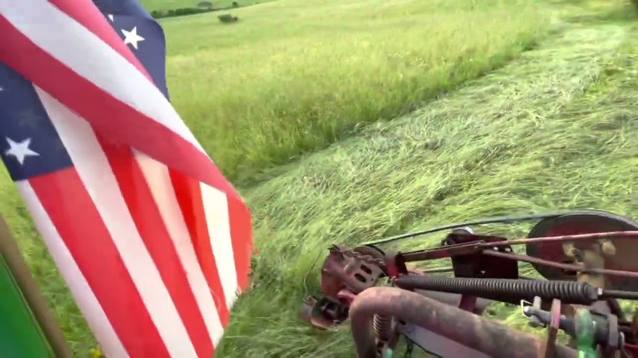 Massey Ferguson Dyna Balance 41