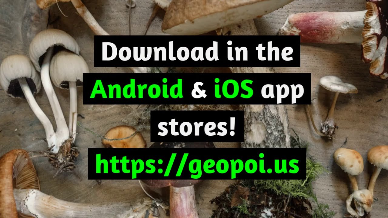 Mushroom Forager App Outdoor Explorer GeoPOI.us