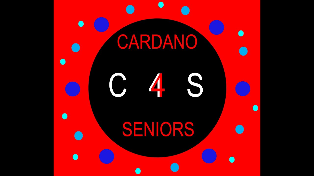 C4S - Cardano4Seniors easy explanations about Defi, Crypto & Cardano ...
