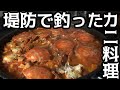 堤防で釣ったカニを食べたら絶品だった！