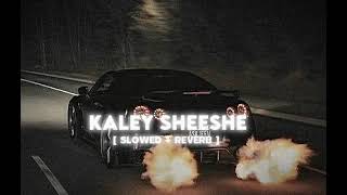 Kaley Sheshe | Perfectly Slowed