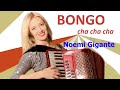 Bongo cha cha cha noemi gigante cover fisarmonica