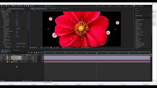 Урок Adobe After Effects - Футаж из падающих цветов || AE tutorial flower drop No plugins