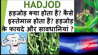 Introduction of Hadjod? How to use it? Benefits & precautions of #hadjod? #fitworldhealthcare #Bones