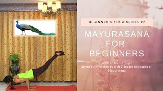 How to do Mayurasana(Peacock Pose) Yoga | Yoga for Beginners | Benefits of Peacock Yoga Pose screenshot 3