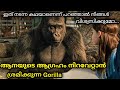 മിടുക്കനായ ഗോറില്ലയുടെ സാഹാസങ്ങൾ 🦍മനുഷ്യരെ പോലെ സ്നേഹിക്കുന്ന ചിന്തിക്കുന്ന മൃഗങ്ങൾ ✨️