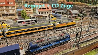 Regiojet Tschechien von Arnold und Fleischmann + andere CD Züge auf meiner Spur N Anlage.