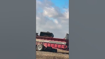 Loading manure #hauling #loading #chicken #manure