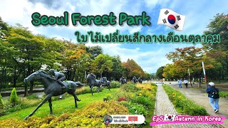 Ep3🇰🇷Seoul Forest Park ตามหาใบไม้เปลี่ยนสีกลางเดือนตุลาคม |โซล-เกาหลีใต้ |Day2 @Bigpaijourney