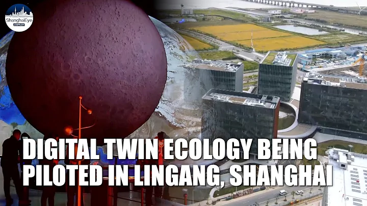 What does FUTURE CITY look like? Lingang, Shanghai shows the way with digital twin technology - DayDayNews