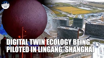What does FUTURE CITY look like? Lingang, Shanghai shows the way with digital twin technology