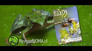 REEL Revista BIOMA 2021