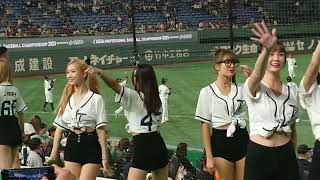 天才格闘家#那須川天心 が始球式に登場するも、知らないので反応せず、通常営業の#台湾チアガール#アジアプロ野球チャンピオンシップ2023 #東京ドーム