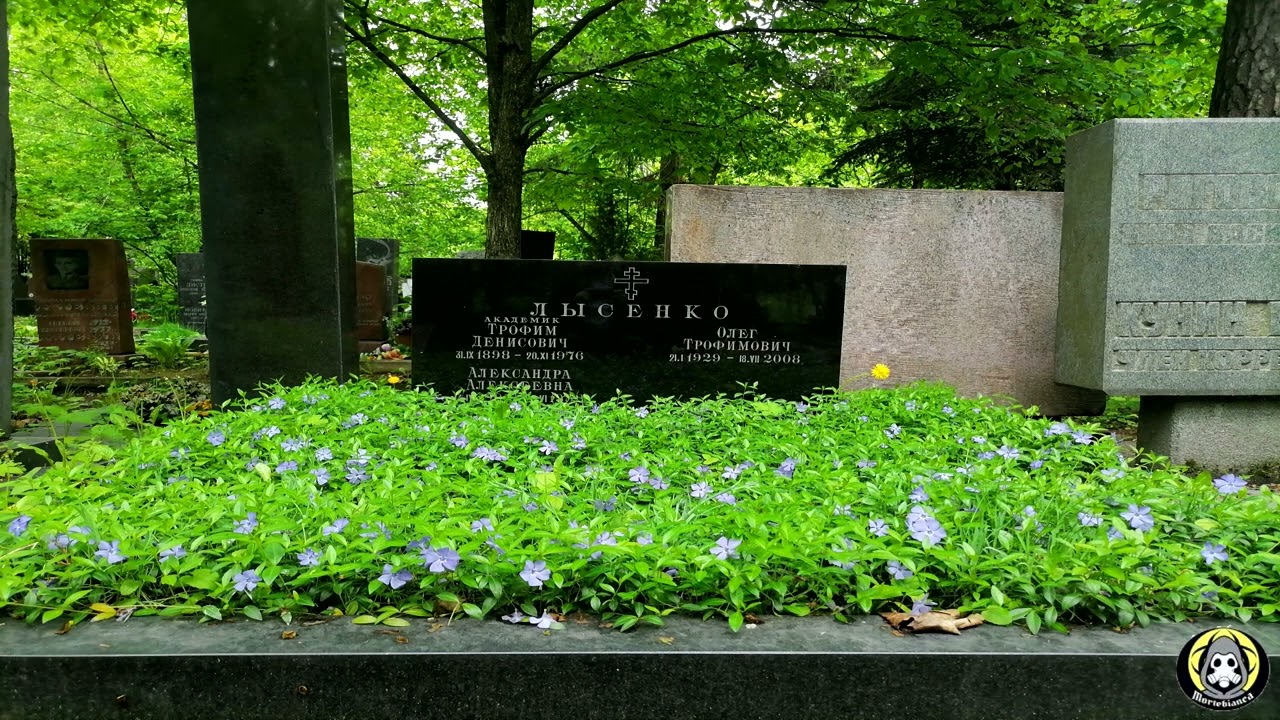 No, la scienza non è 