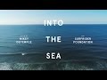 Into The Sea - A Film for Surfrider Foundation