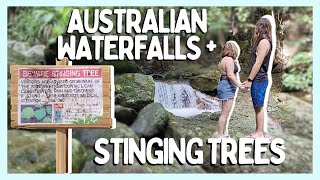 Exploring the CRYSTAL CASCADES | Cairns, Queensland