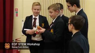 Stem Day 2019