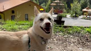 Download Lagu Maru's Weekend in Santa Cruz MP3