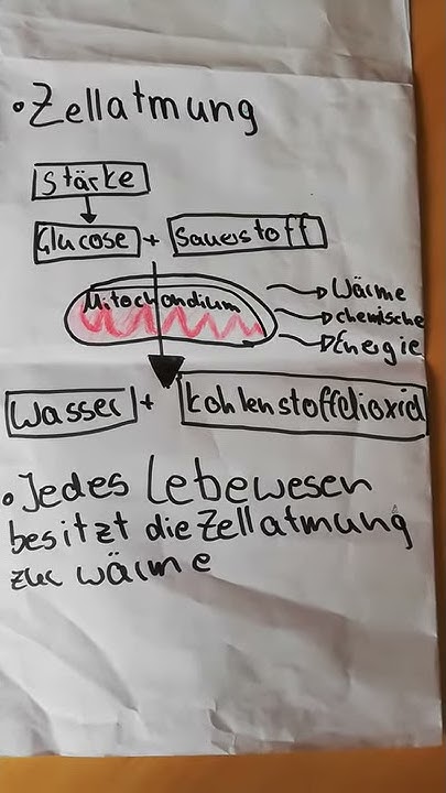 Krasser Typ erklärt langweiliges Zeug... - YouTube