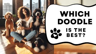 Which Doodle Is The Best?